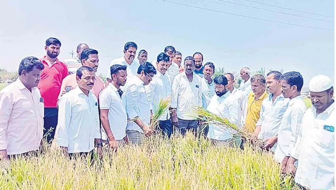 వడగండ్లు.. కడగండ్లు